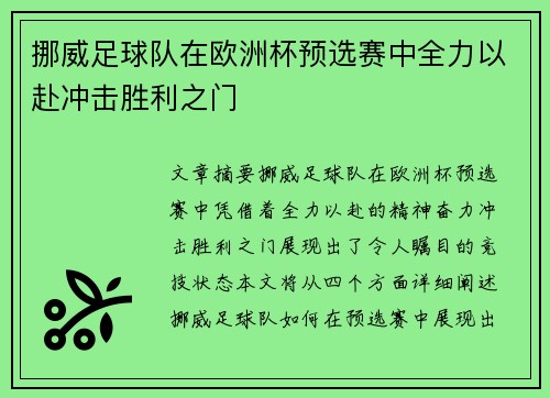 挪威足球队在欧洲杯预选赛中全力以赴冲击胜利之门