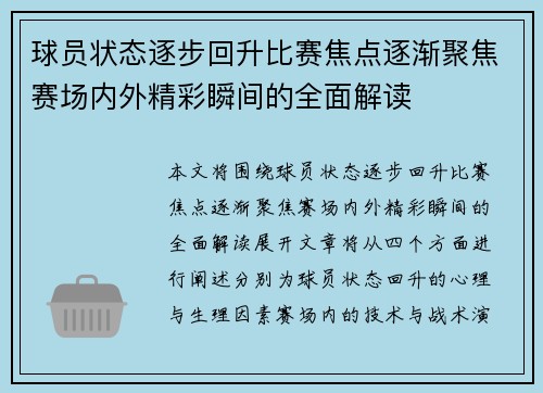 球员状态逐步回升比赛焦点逐渐聚焦赛场内外精彩瞬间的全面解读